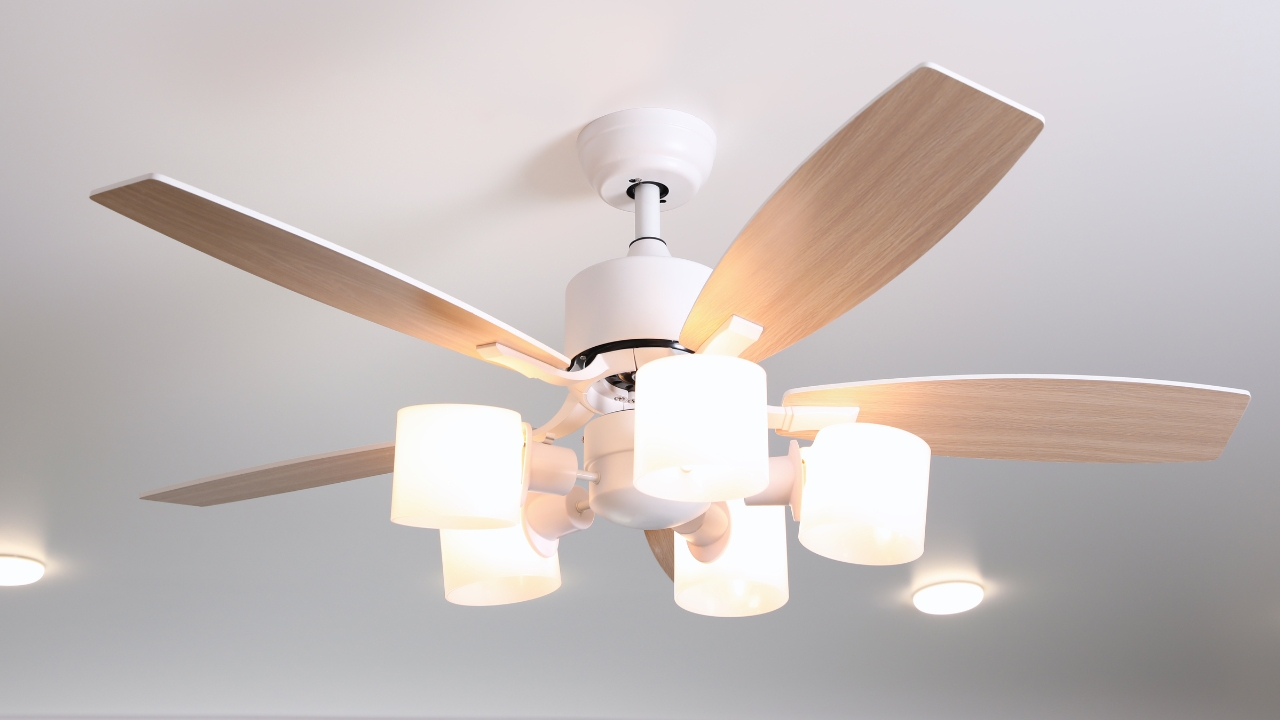 A%20Comprehensive%20Guide%20to%20Ceiling%20Lights%20%26%20Fans1.jpg?1711555075212