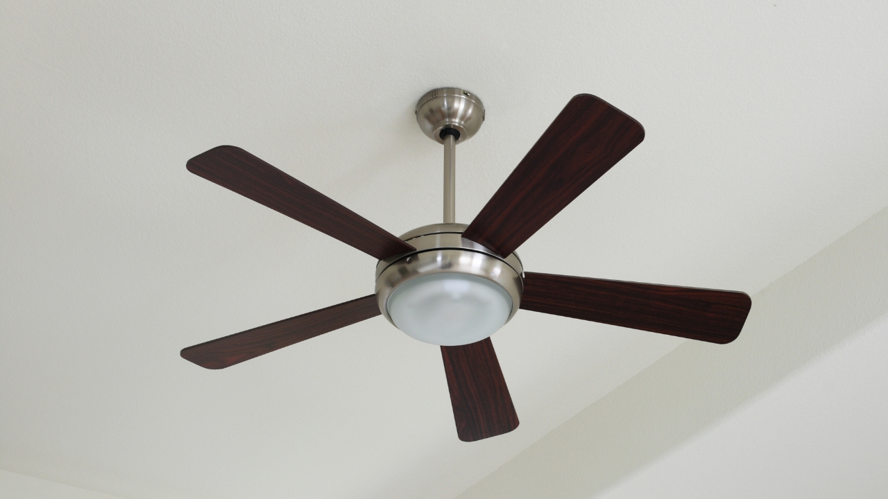 A%20Comprehensive%20Guide%20to%20Ceiling%20Lights%20%26%20Fans3.jpg?1711554971183